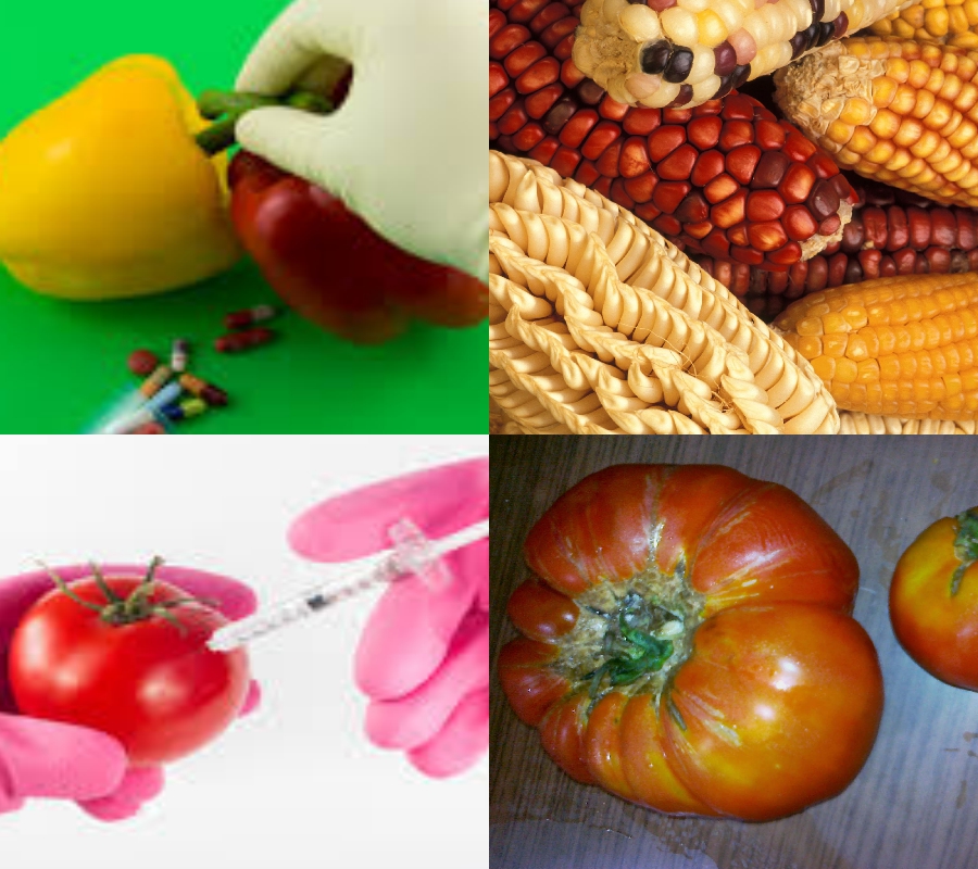 17-cancer-causes-food-13.jpg