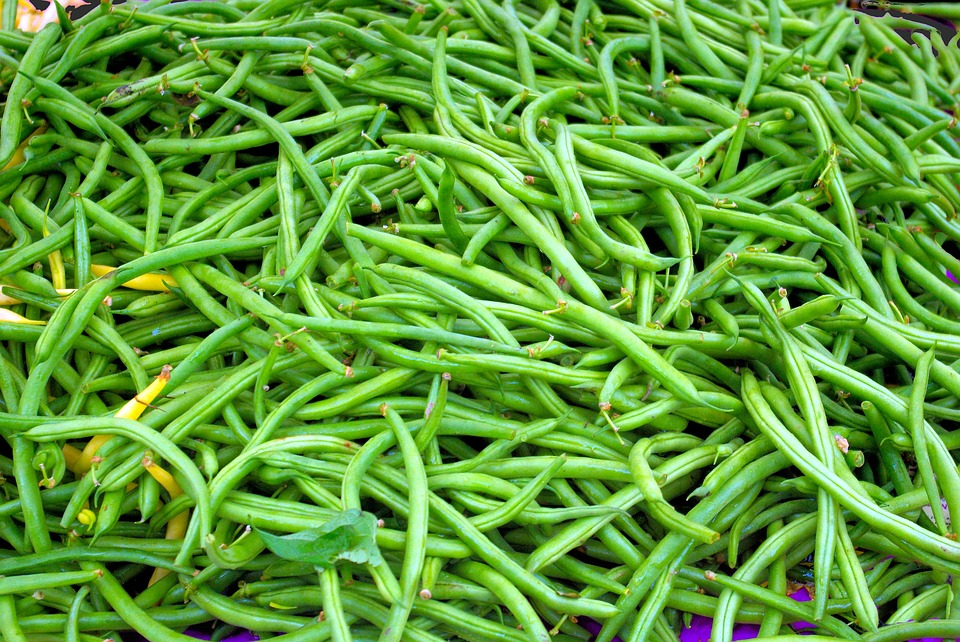 “Beans”