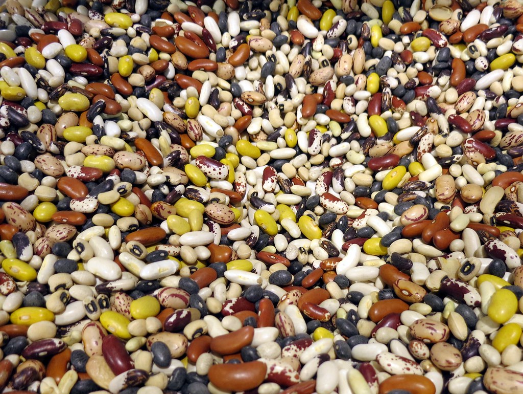 “Beans”