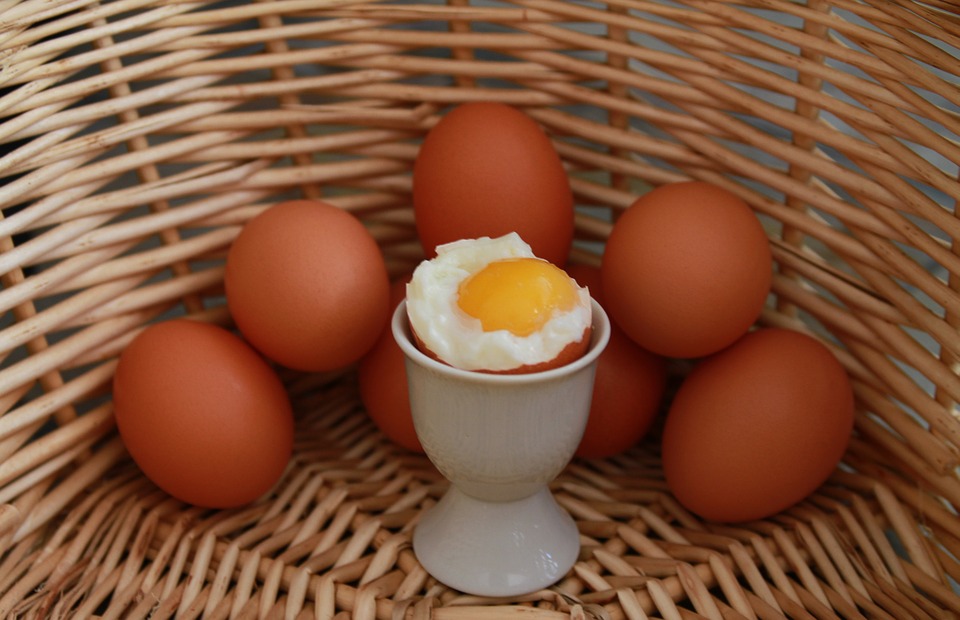 “egg”