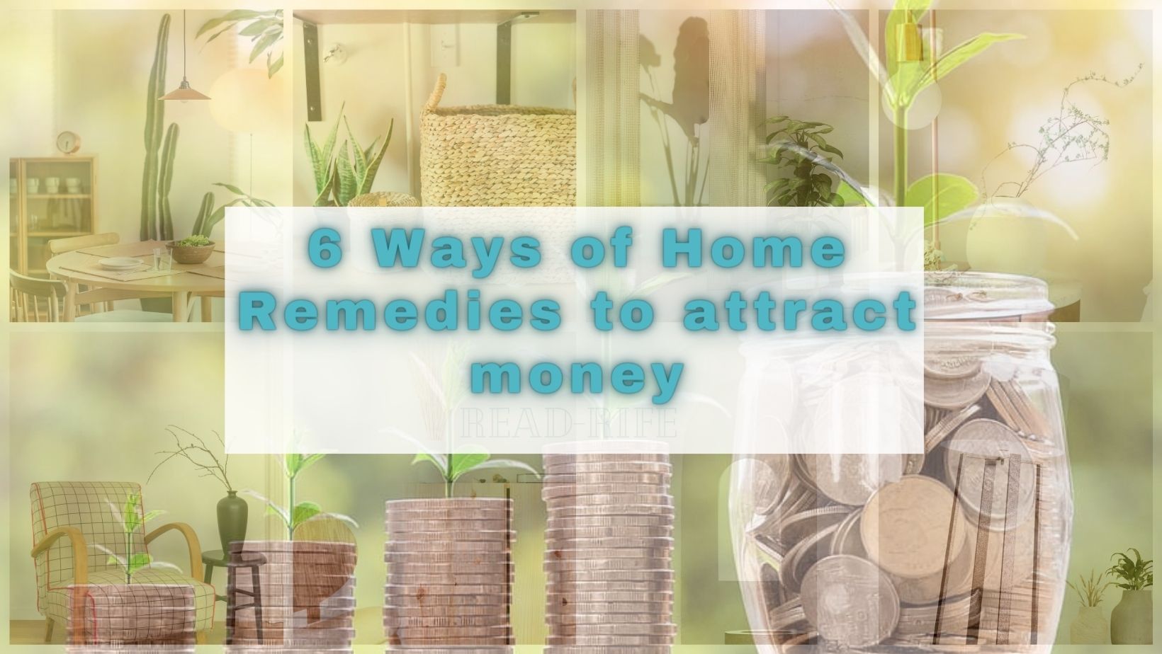 1681565006-home-remedies-to-attract-money.jpg