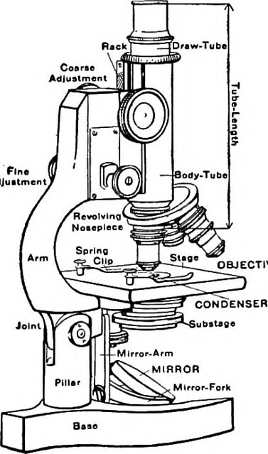microscope